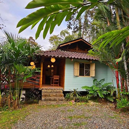 Villa Rameen Puerto Viejo de Talamanca Dış mekan fotoğraf